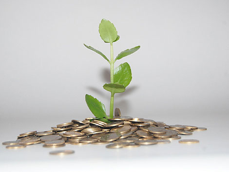 ddos在线攻击平台